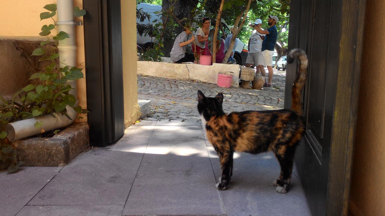 Elaia Hotel Bergama Bagian luar foto
